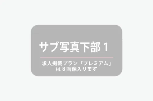 ★項目：「サブ写真下部1コメント」です。